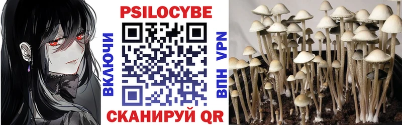 Псилоцибиновые грибы мухоморы  Купить где  Буинск 